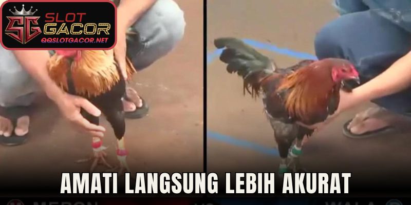 Amati langsung lebih akurat