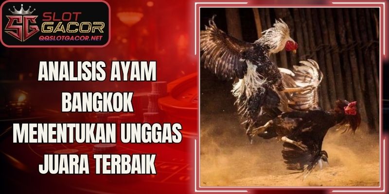 Analisis Ayam Bangkok Menentukan Unggas Juara Terbaik