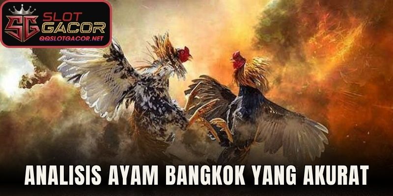 Analisis Ayam Bangkok Menentukan Unggas Juara Terbaik