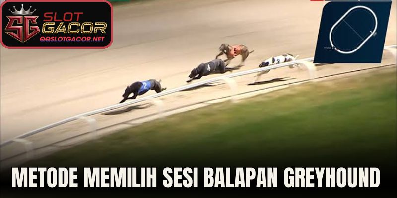 Metode Memilih Sesi Balapan Greyhound Daring