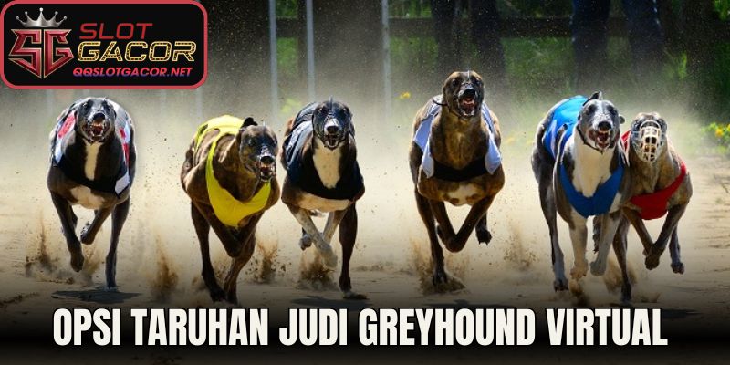 Opsi Taruhan Judi Greyhound Virtual