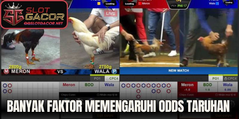 Banyak faktor memengaruhi odds taruhan