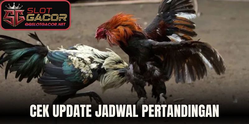 Cek update jadwal pertandingan
