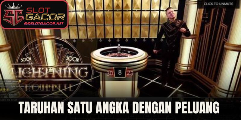 Taruhan Satu Angka dengan Peluang Cuan Maksimal