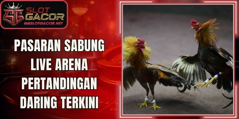 Pasaran Sabung Live Arena Pertandingan Daring Terkini