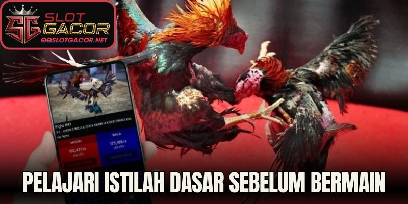 Pelajari istilah dasar sebelum bermain