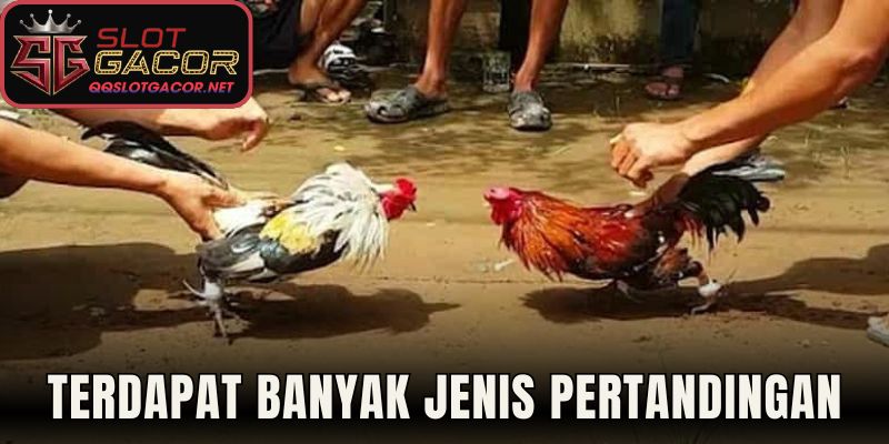 Terdapat banyak jenis pertandingan